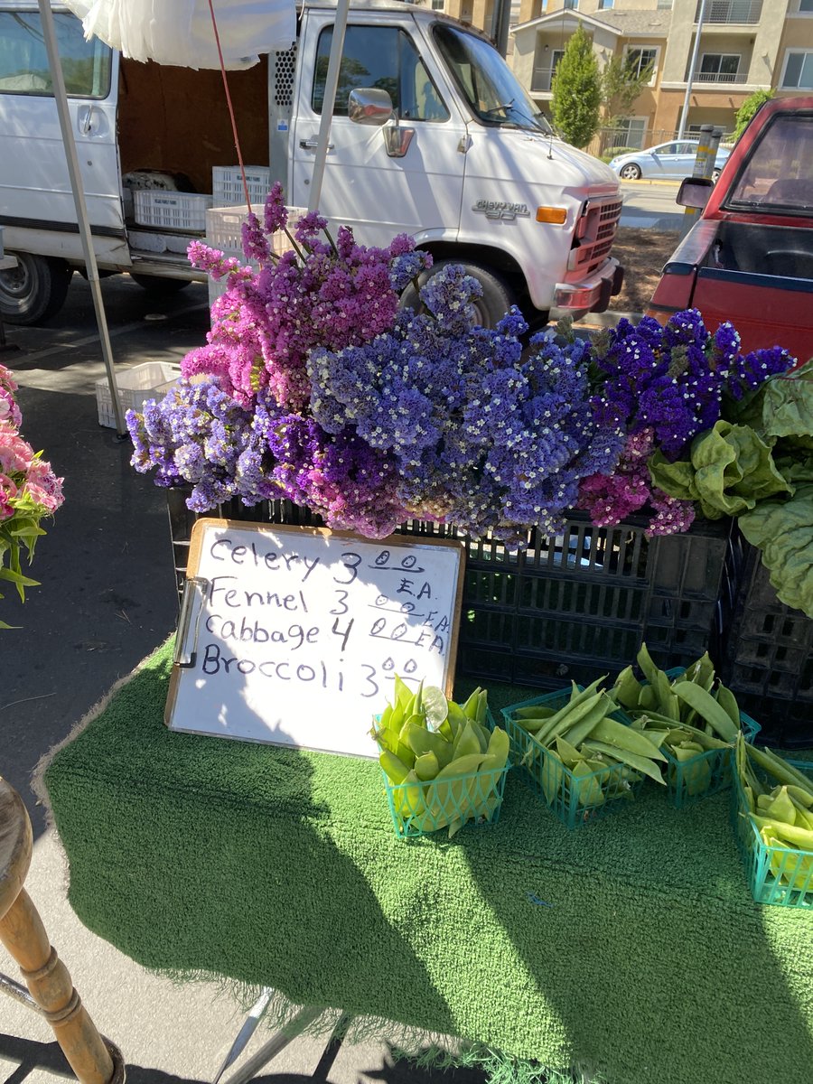 Renting a house for a few days? Visit local farmers markets for the freshest fruit, produce, dairy, meats, seafood, flowers and more! 

#winecountrydetours #discovernapa #outdoorwinetasting #napavalley #sonoma #napawines #sonomawines