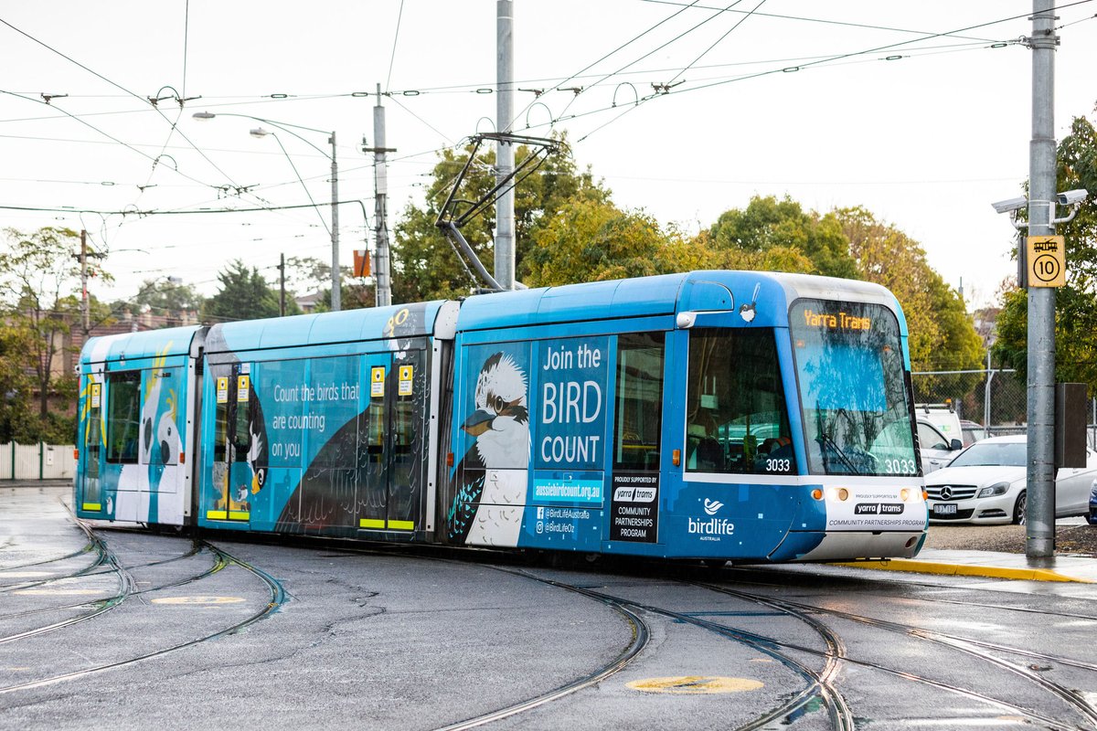 BirdlifeOz's tweet photo. One of Melbourne's trams is spreading the word about the #AussieBackyardBirdCount,
thanks to the 2021 @yarratrams Community Partnerships Program! @Twitchathon visited the depot to see the tram off last month.
Spot it along Routes 48 and 109 until September!
📷 James HH Morgan https://t.co/mrsDCVCpf8