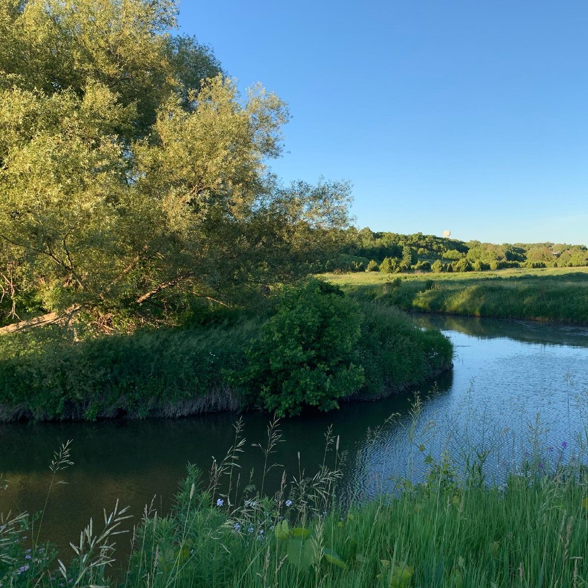 eugene_vin's tweet photo. Simple #summer (almost!) views #nokidaatrail @townofeg #EastGwillimbury #HollandRiver with old canal #liftlock ruins #1picadayforfun https://t.co/agn8Xd5bMt