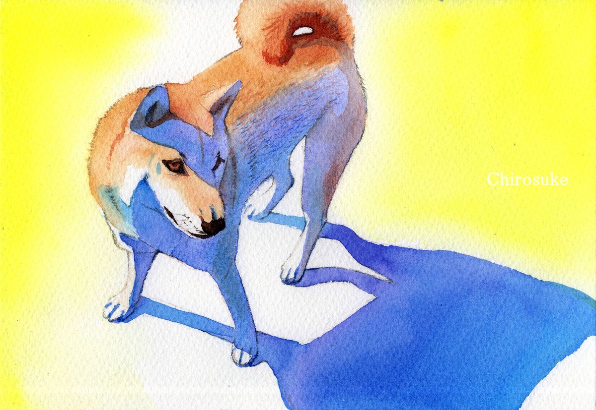 no humans dog animal focus yellow background shadow animal painting (medium)  illustration images