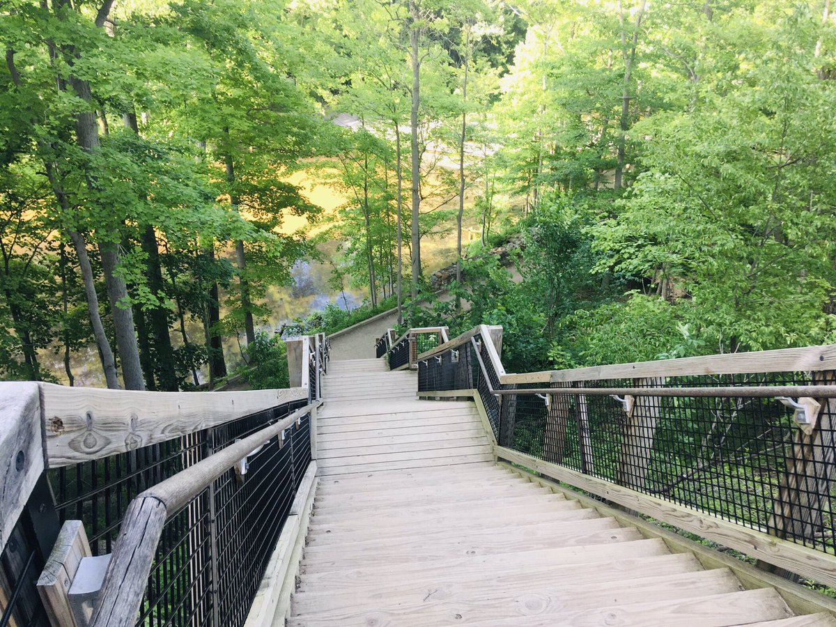 216Cub's tweet image. What a beautiful night 
for a pack hike at the 
Rocky River Reservation.  Though the hike 
was just over a mile, 
it started out with these daunting stairs!  
It was so great to 
get together, enjoy nature, &amp;amp; just hang out again!