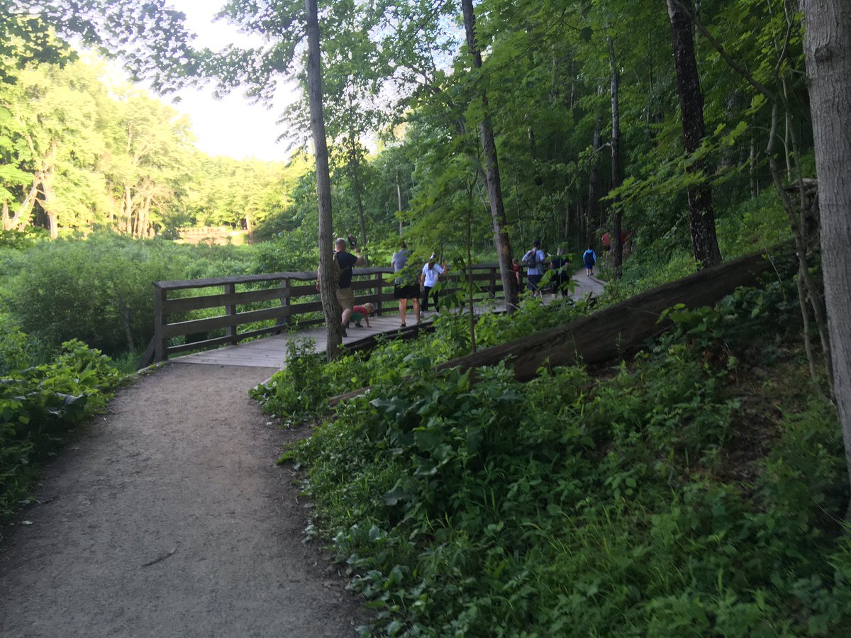 216Cub's tweet image. What a beautiful night 
for a pack hike at the 
Rocky River Reservation.  Though the hike 
was just over a mile, 
it started out with these daunting stairs!  
It was so great to 
get together, enjoy nature, &amp;amp; just hang out again!