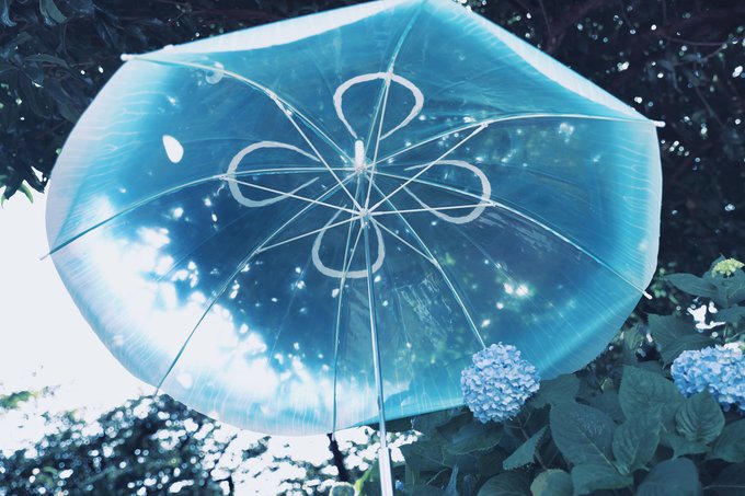 梅雨くるの嫌だなー 梅雨くるの嫌だなー