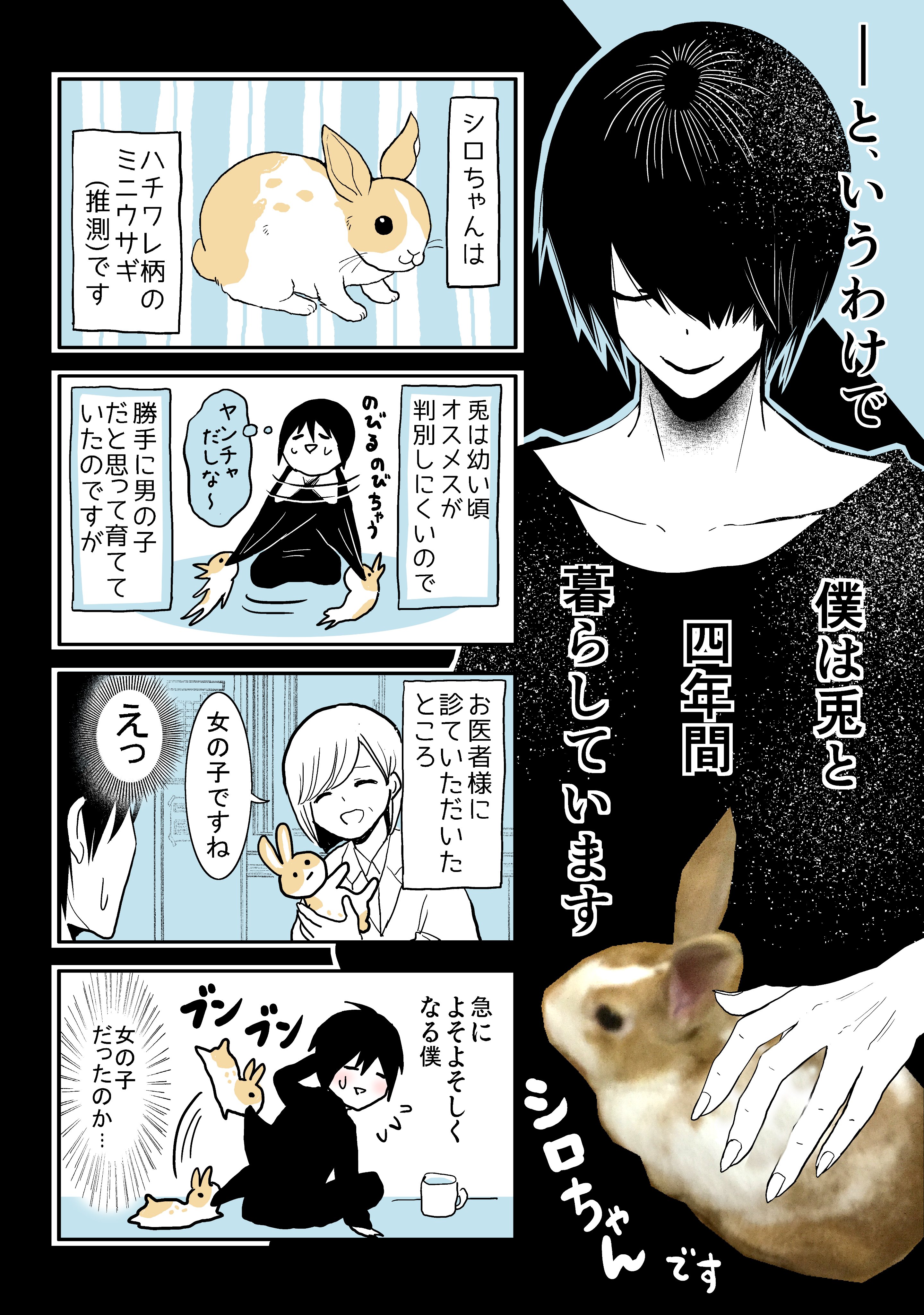 三上骨丸 ウサゴク連載中 漫画家がウサギを拾ったら ウサギマンガを描くことになった日々のお話 T Co Jf34k4a18h Twitter
