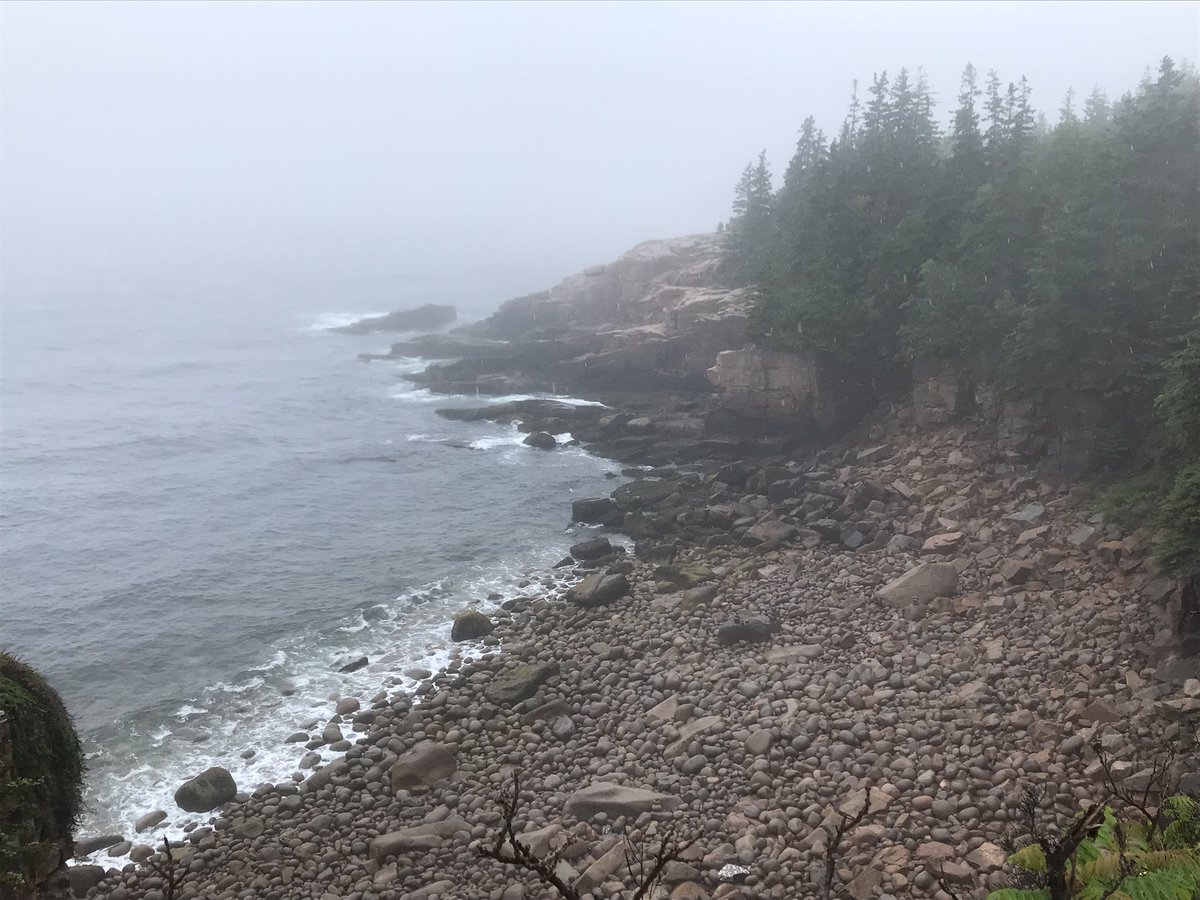 acherry13's tweet photo. Stunning views from #acadianationalpark #nationalparks #mainevaca https://t.co/Fd4vwrwxD0