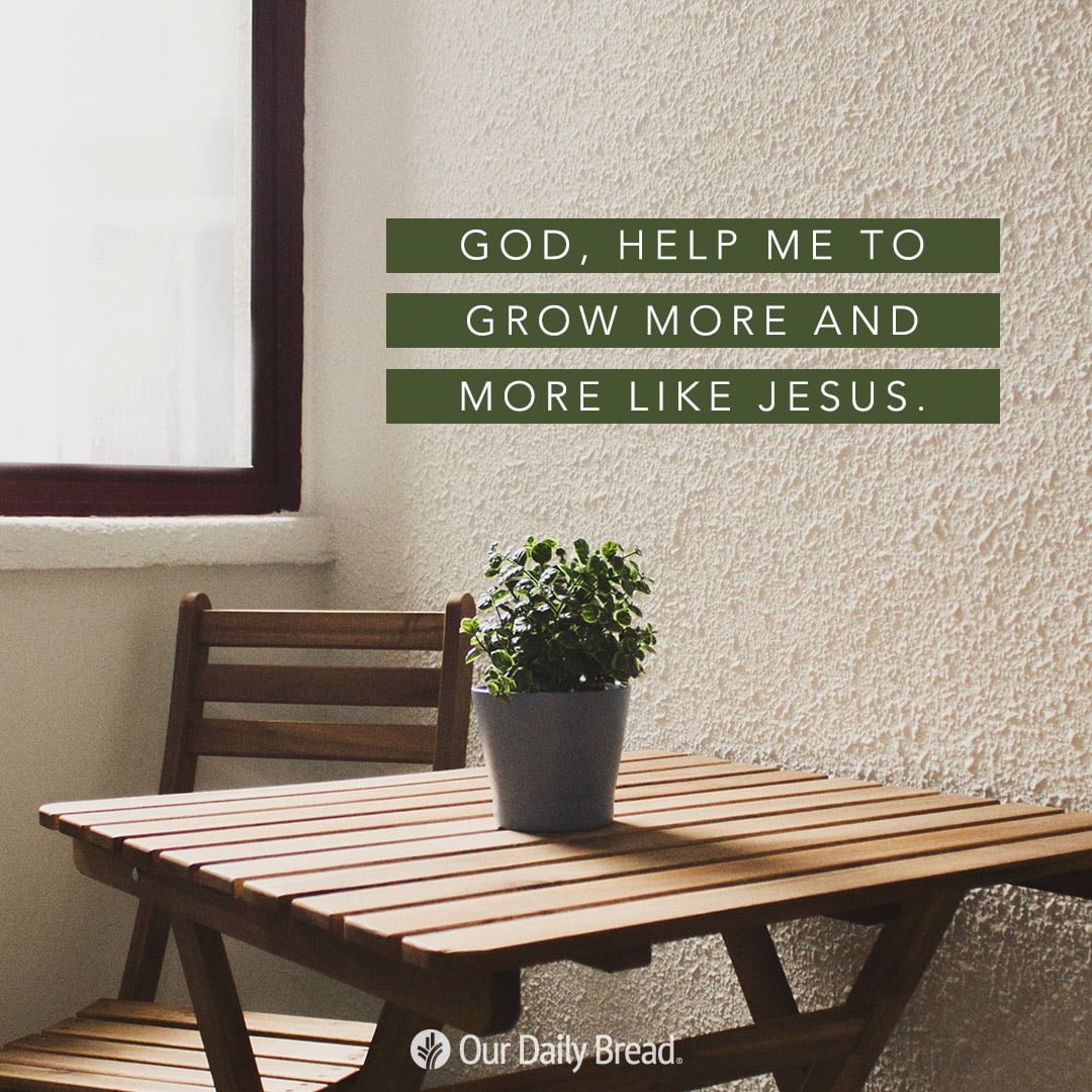 Help me, God, to connect with You more and more through the wisdom You've given me in the bible. And then help me to apply what I learn to help grow more and more like Jesus. 🙏🏻🤍🕊✨ ⁦@ourdailybread⁩  #OurDailyBread #ODB #WordOfGod #FollowerOfJesus