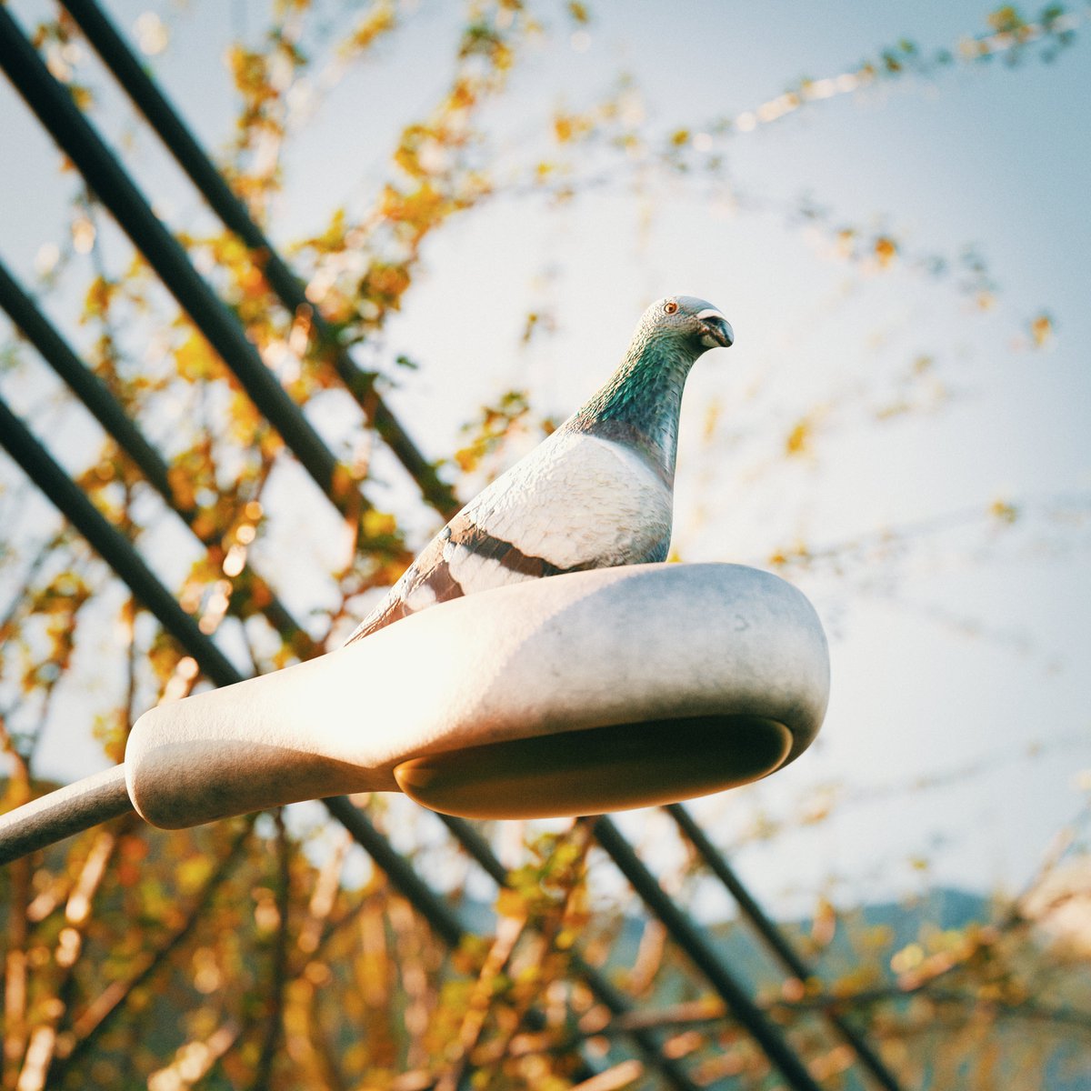 b3dpineapple's tweet photo. Do you like pigeons? 

#blender #blender3d #blendercommunity #blenderart #blendercycles #3d #3dart #photoshop #pigeon https://t.co/MxtzH4s9Uz