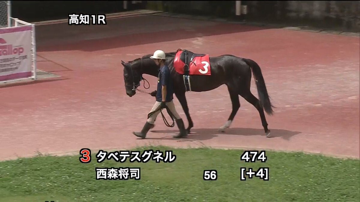 思わず見てしまう 過去1カワイイ競走馬の名前 話題の画像プラス