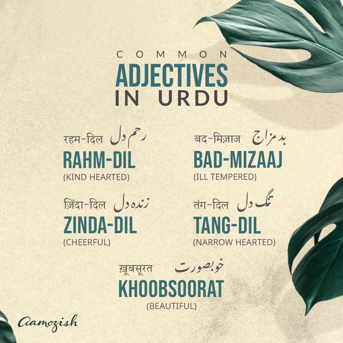 Let's have a look at some common adjectives in Urdu. 
Mention an adjective you hadn't heard yet!

#aamozish #rekhta #learn #words #adjevtives #common #urdu #urdulover #urduposts #urduliterature