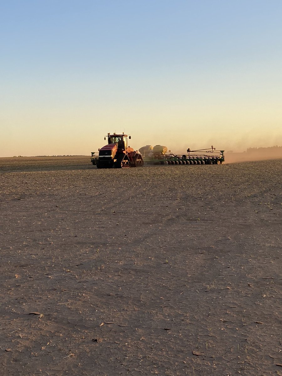 MikeRPaulson's tweet photo. “The pintos came up nice after some rain. Why don’t you try it again.” - Mother Nature #replant21 https://t.co/Le7I2jY76x