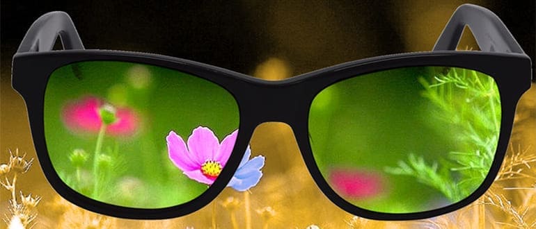 очки и линзы для дальтоников. очки enchroma. специальные очки для дальтоников. очки для дальтоников. очки и линзы для дальтоников.