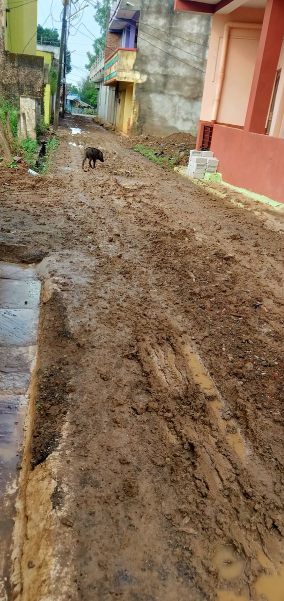 devesha034's tweet photo. @CollectorKatni @JansamparkK condition of road and pole of panna mode satsang nagar ward no.1 gali no.3 plz take cognisance of it. https://t.co/AwnrwLa10I