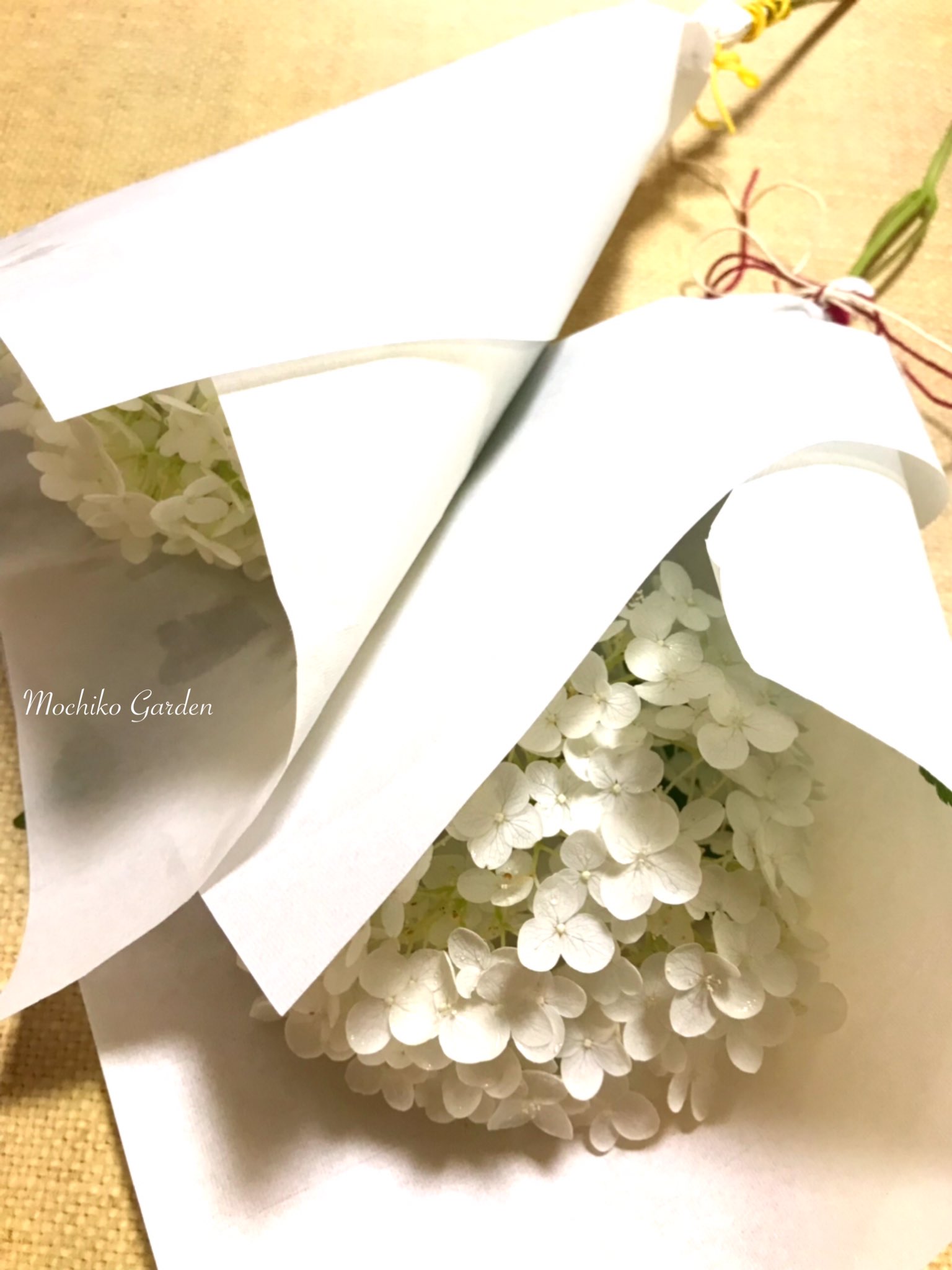 紫陽花のおまじない Twitter Search Twitter
