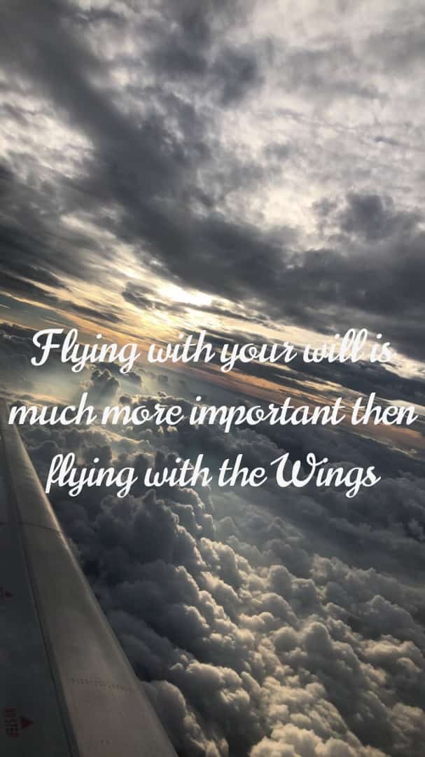 #Flying with your will is much more important then flying with the #Wings
.
.
.
.
.
.
.
.
.
.
#life #motivation #thoughts #nature #naturethoughts #naturephotography #hvspeaks #Success #mind #mindset #inspirational #goals #you #thoughtoftheday #travelthoughts #hard #break