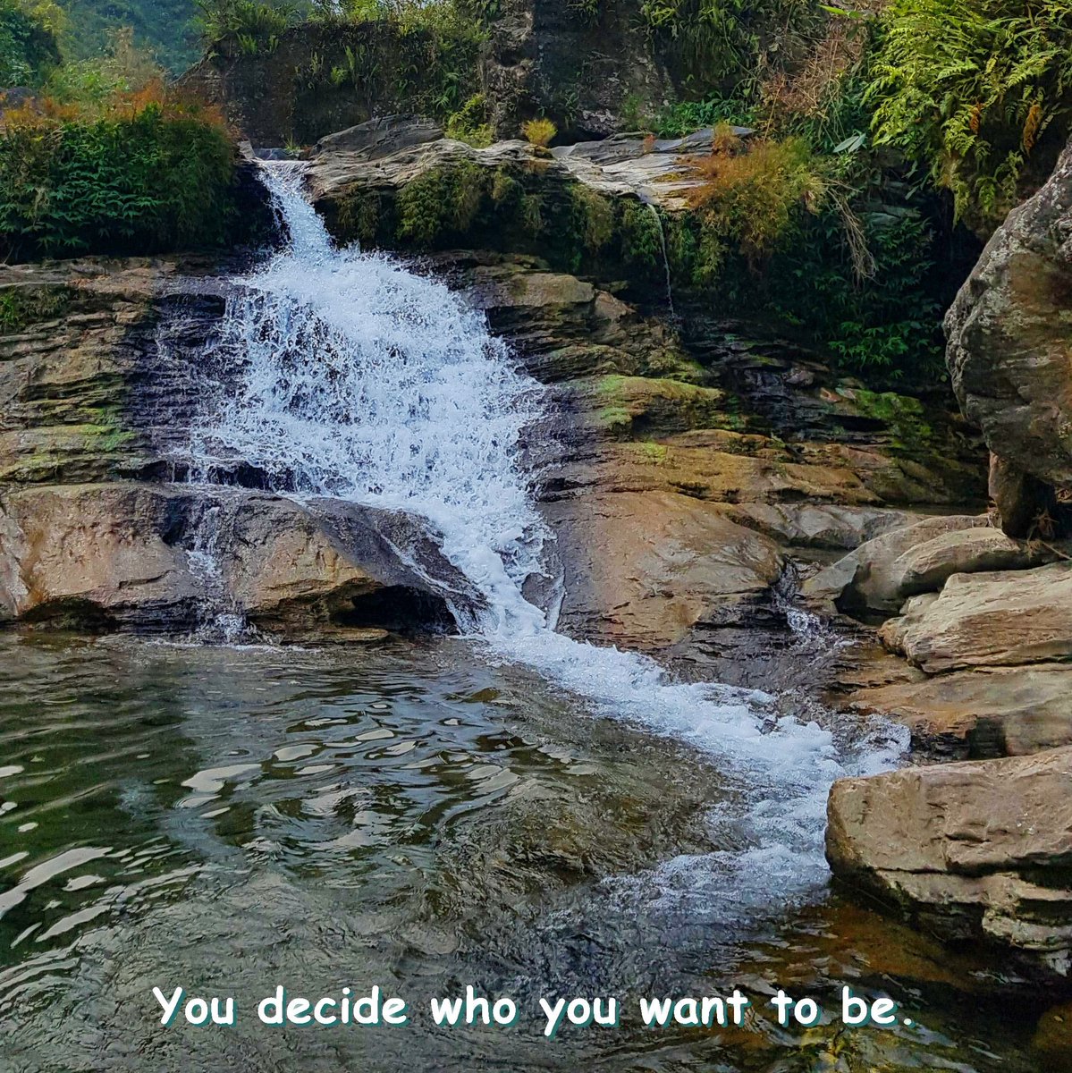 You decide who you want to be.

🌟Follow for an affirmation a day🌟

✨@leaftreeaffirmations✨

#leaftree #leaftreeaffirmations #whywelovenature #natur #naturephotography #forest_masters #treemagic #loves_trees_rural #lifelessons #treesrock