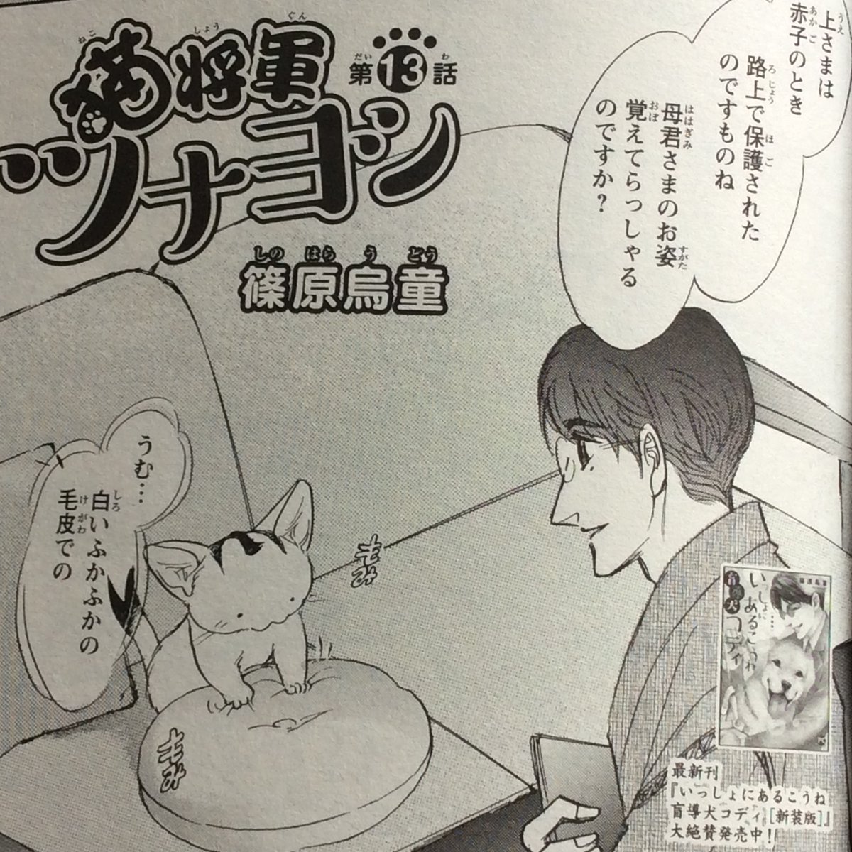 お知らせ色々4月 号 お知らせ色々4月 号