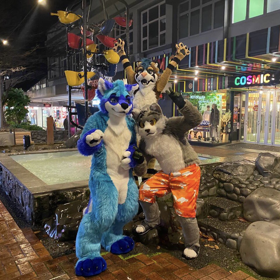 SparkyBites's tweet photo. Woop woop! Furry invasion down Cuba Street! #CubaStreet #Wellington https://t.co/SELlBjXuu2