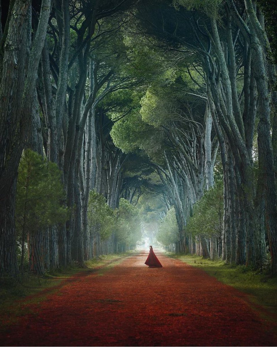 I recognized happiness by the noise it made when it left.
                                                                     Jacques Prévert___

©️Victoria Yore. Tunnel Di Pini, Tuscany, Italy