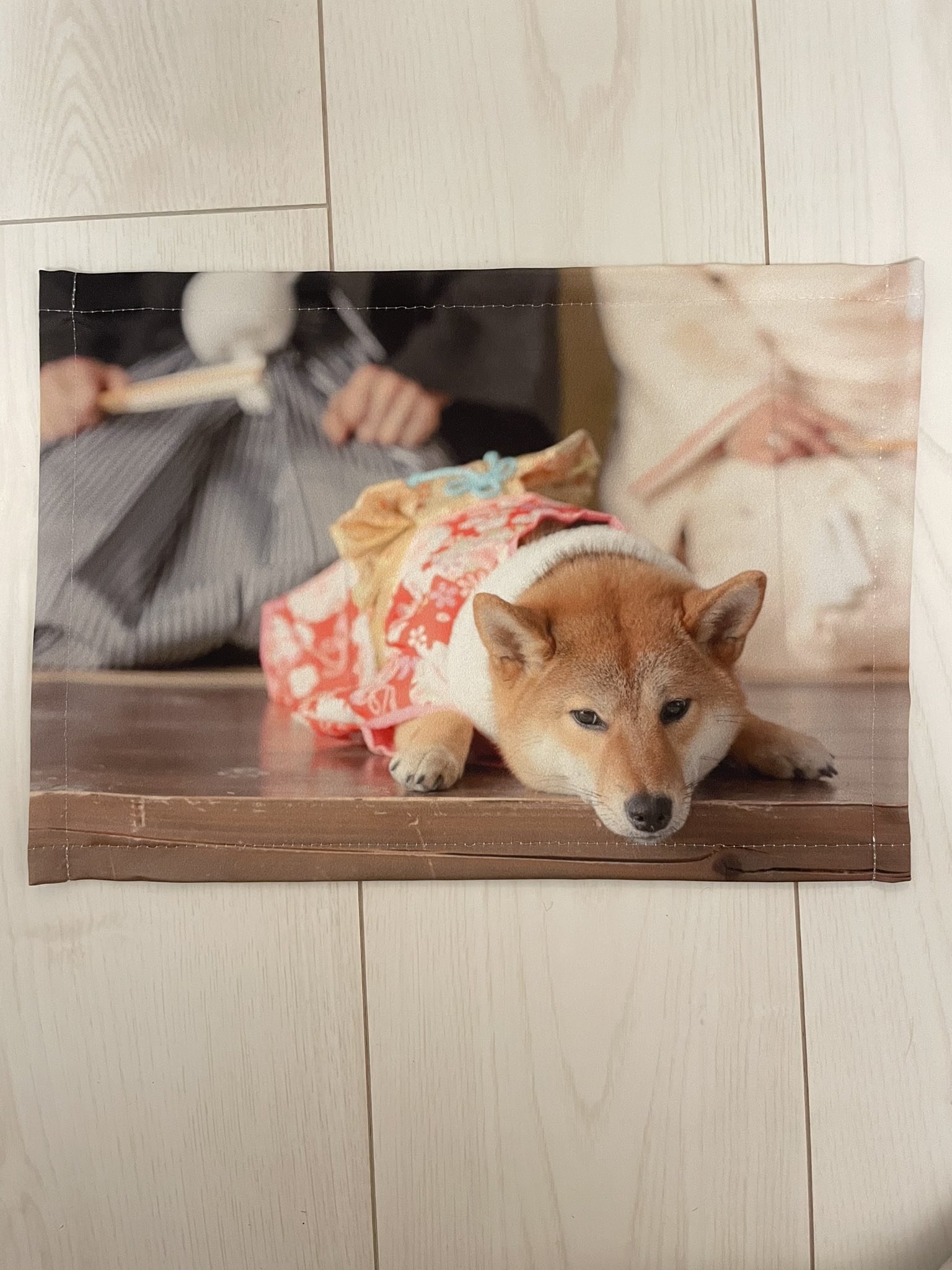 Dare Pjt 赤ちゃん ペットのお写真を お好みのサイズで布壁紙へ 布だからある価値 写真 データではなく新たに残る形として 今までありそでなかったものを マタニティーフォト ウェディングフォト マタニティー プレゼント Darepjt 世界で一つ