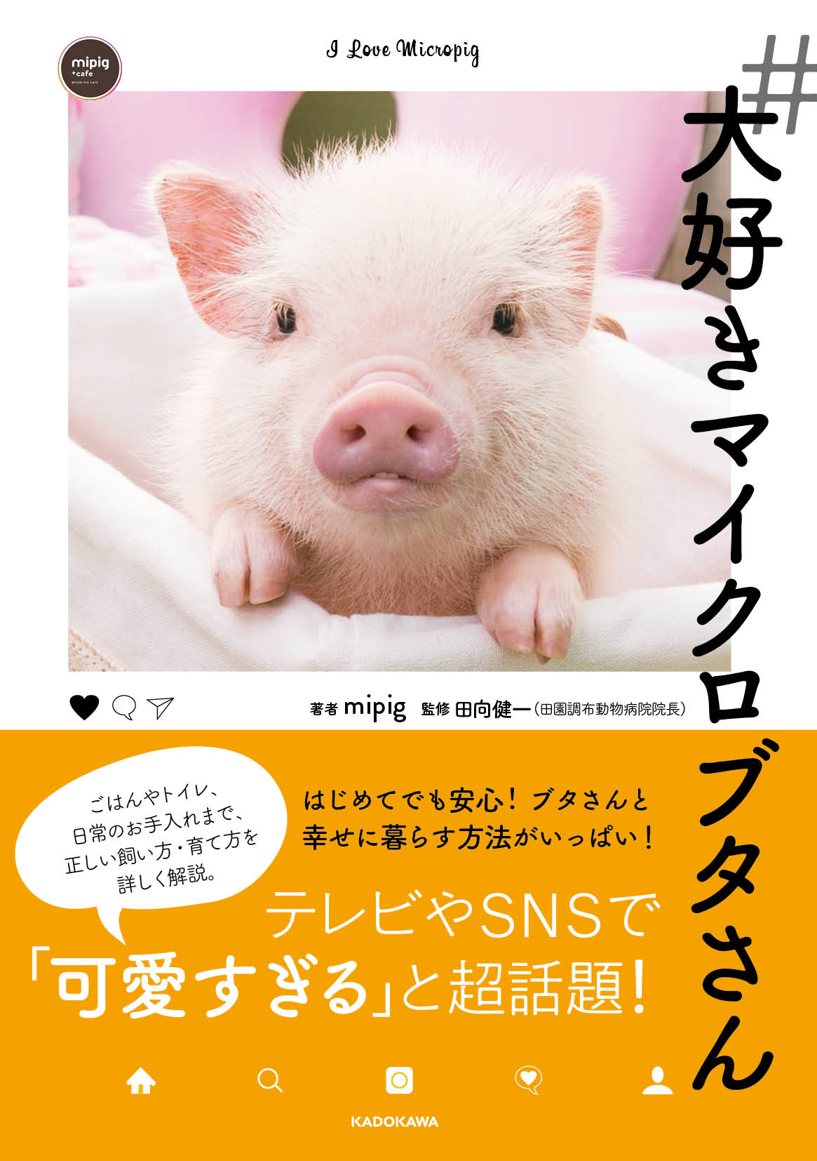 だぱん Dapadapa38 Twitter