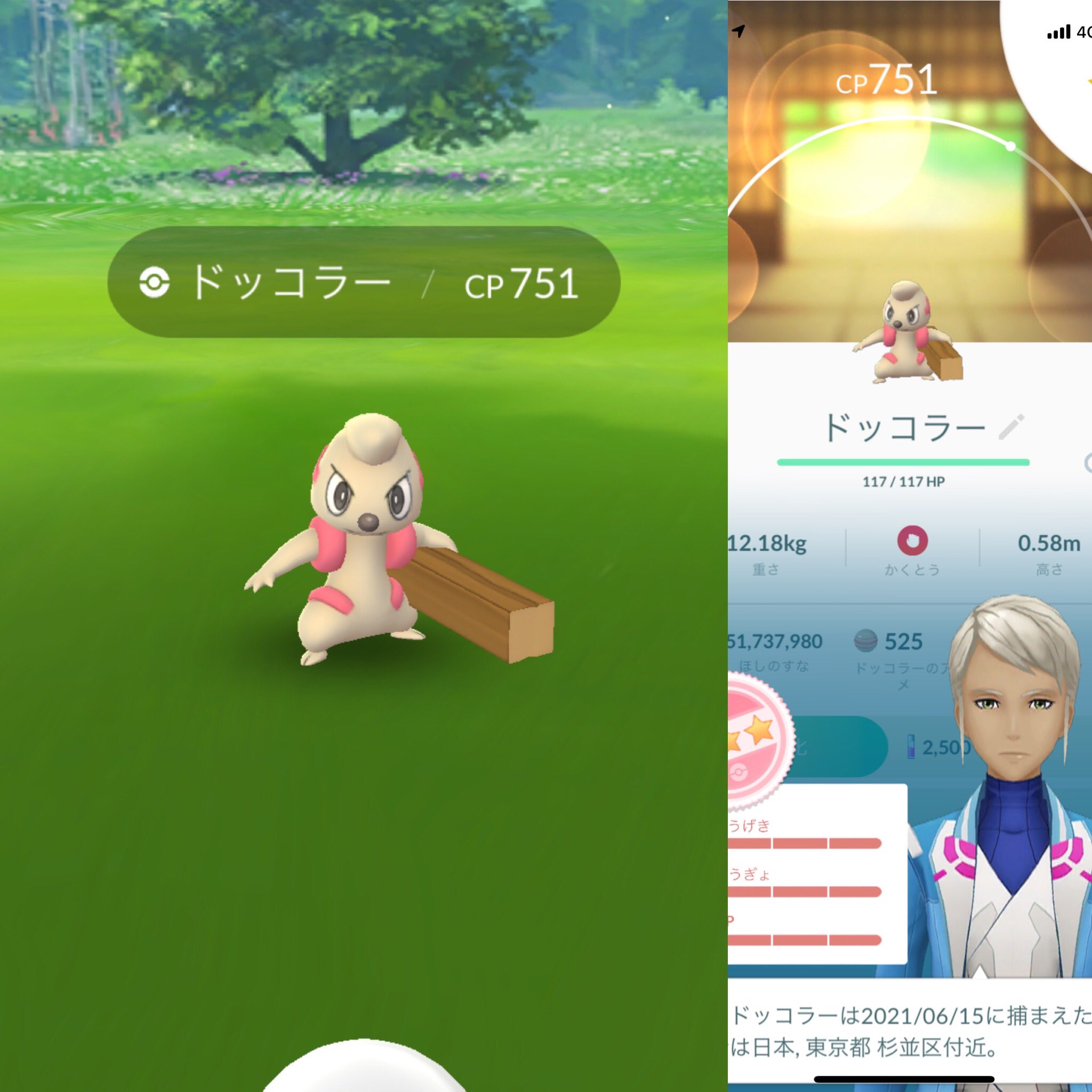 ドッコラー100 Twitter Search Twitter