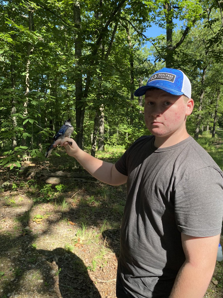 GLADEProject's tweet image. Bird banding was amazing with Dr. Janice Greene and Grad student Shelby!