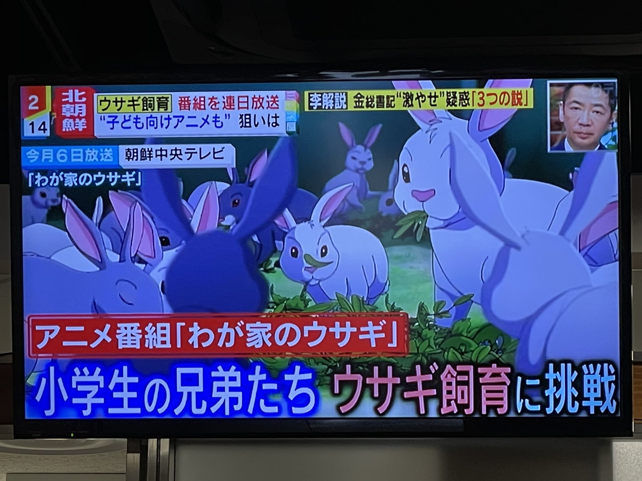 いくらちゃん 暗号か 謎の報道 北朝鮮でうさぎの飼育がブーム T Co Vcbvz3iuhg Twitter