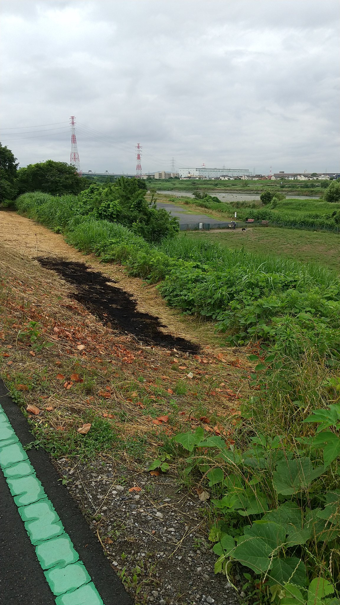 ボギー 昨夜の火事ですが 中野多目的広場 ドッグラン の側が2ヶ所焼けてました 深夜の火災だし燃え広がらなくて本当に良かったです 相模川 海老名 海老名市中野 火事 グリーンライン T Co Tq2li7vuu7 Twitter ボギー 昨夜の火事ですが 中野多目的広場 ドッグラン の側が2ヶ所焼けてました 深夜の火災だし燃え広がらなくて本当に良かったです 相模川 海老名 海老名市中野 火事 グリーンライン T Co Tq2li7vuu7 Twitter