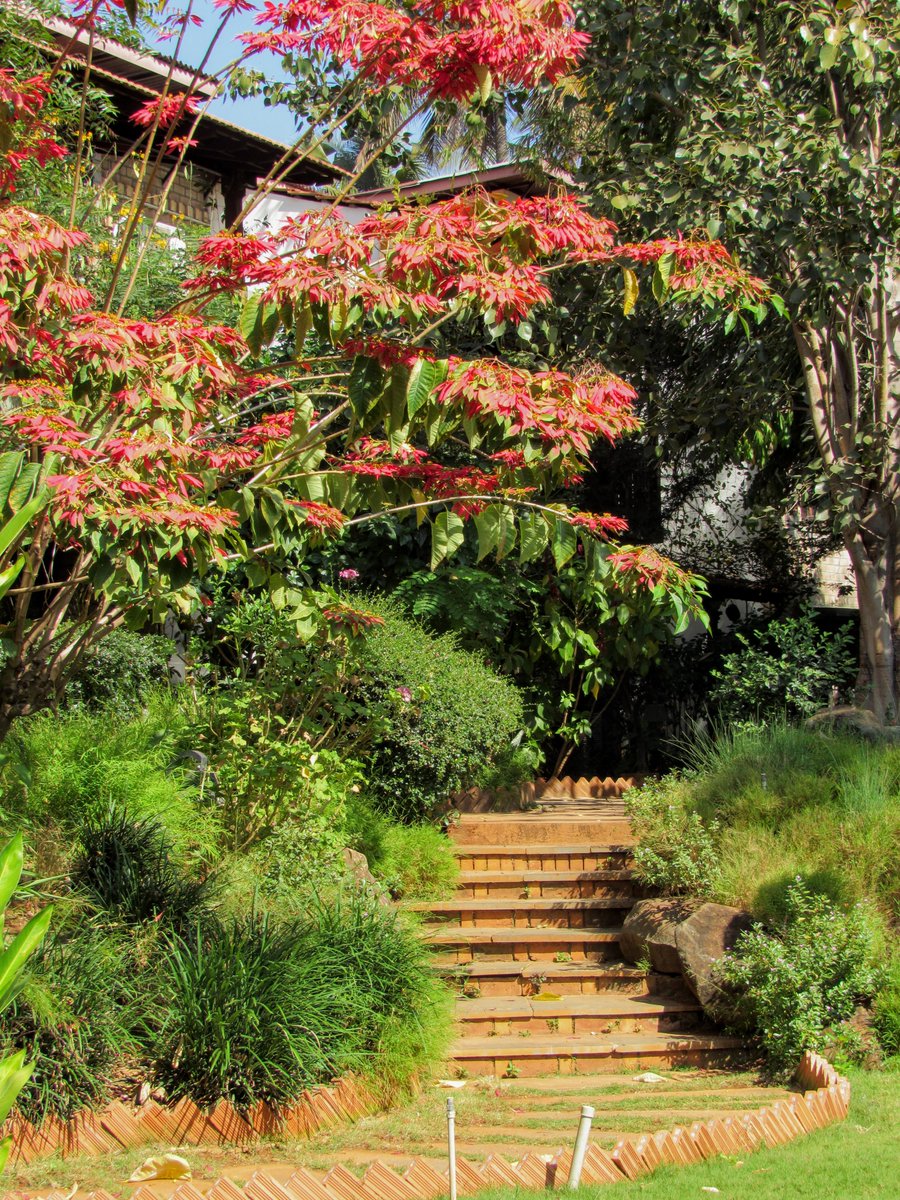 GoodEarthOnline's tweet photo. At GoodEarth Malhar you are surrounded by lush flora, vast community spaces and a green sustainable design. Here you can discover a salubrious lifestyle that calms your senses, fills you with inner peace while keeping you connected to nature and the outdoors.

#goodearthonline https://t.co/PjEMkzYm46