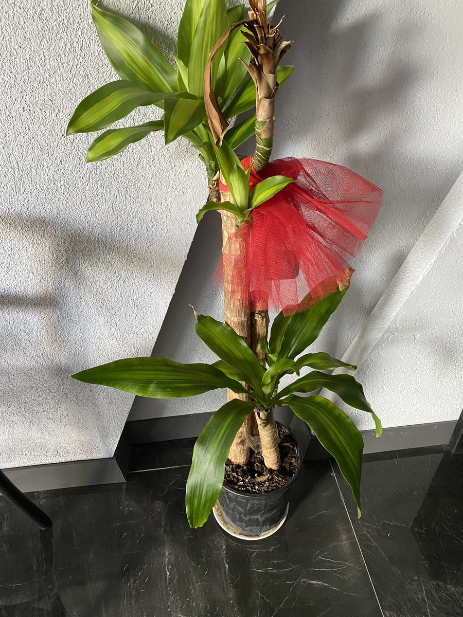 Verecek hiçbirşeyin yoksa bile sevgini ver..
Bir sevgi bin ümit yeşertir.