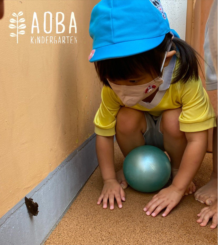 青葉幼稚園 幼稚園で珍しい虫を発見 子供達も興味津々で何度も見に来ていました 青葉幼稚園 認定こども園 稲城市 ヨコミネ式 ヨコミネ式幼稚園 カミキリ虫 蝶々 虫 ゴマダラカミキリ