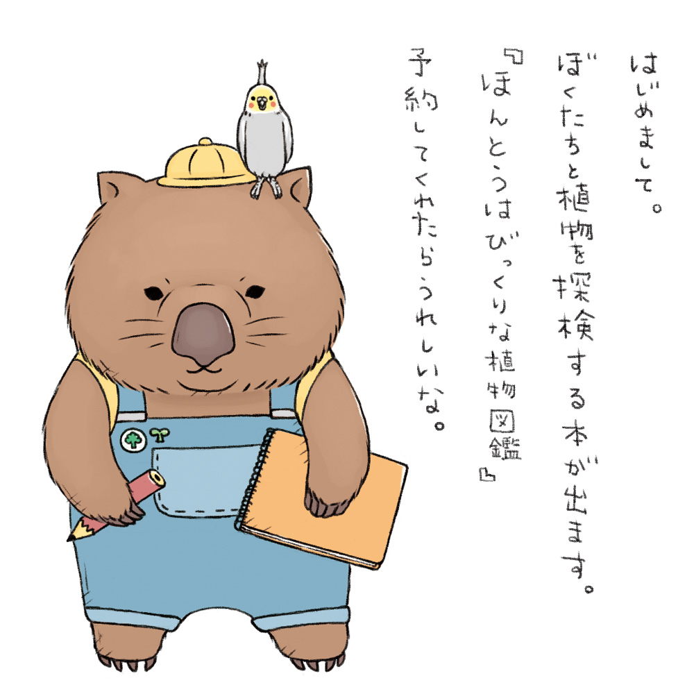 下間文恵イラストレーター Ayaeshimoma تويتر