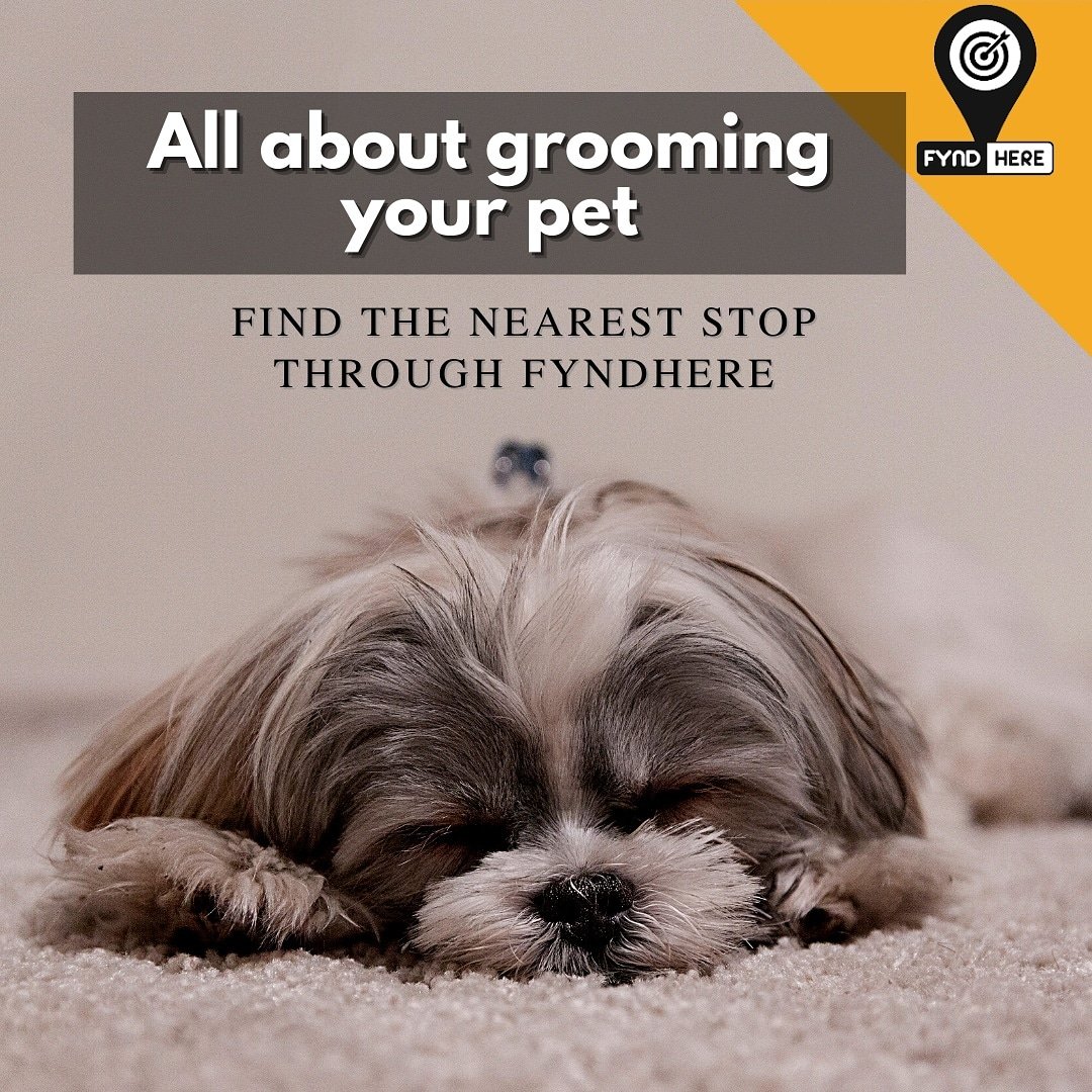 fyndhere's tweet photo. Ensure your pet gets timely grooming.
Find the nearest stop to avail grooming services using FYNDHERE app.
Download the app, post your requirement and relax.
#Fyndhere #groomer #grooming #groomers #petgrooming #YourFriendlyLocalExpert #SealTheDeal #YourLocalGenie #groomerlife https://t.co/WCvz3gIuqT