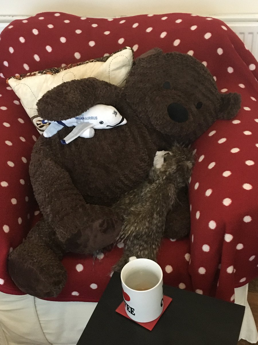 BertieBear13's tweet photo. Hoom woke me up early today. Apparently today we must office. I don’t want to office. We is out of practice. We has drank lots of coffee! @livuniucu2 #hls32 https://t.co/dm2fZNww8f