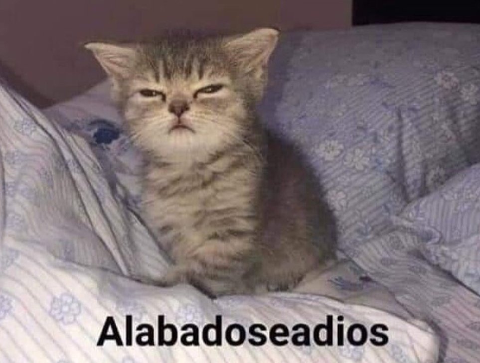 ProfeTalamantes's tweet photo. Cuando el profe de psicopatología nos dice que no son posesiones demoníacas, que es esquizofrenia. https://t.co/zu8Nj6uAd3
