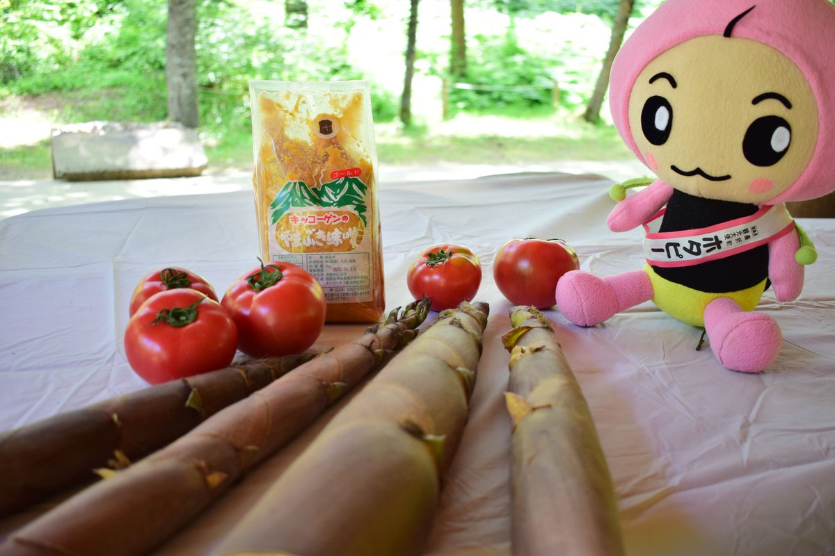 koorinohotapi's tweet photo. なすびさんが半田山自然公園に遊びに来てくれたよ！地元食材を使ったキャンプ飯に挑戦！
https://t.co/IaUZOtrmyO
＃桑折町 #献上桃の郷 ＃半田山 ＃キャンプ ＃デイキャンプ ＃アウトドア ＃キャンプ飯 https://t.co/QszKTjJ8Yh