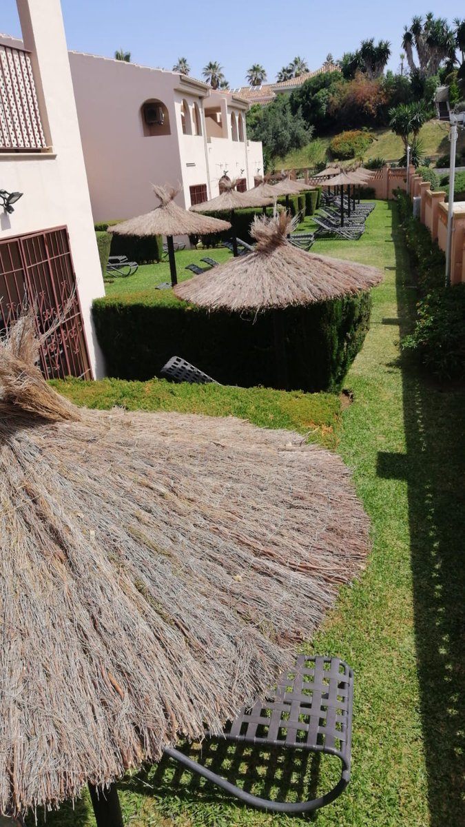 Great job from our #Grounds #Team who have been replacing all the umbrellas for the enjoyment of our members &amp; guests. They are made of heather, a natural,  resistant &amp; #ecofriendly material #DiamondGoGreen #LosAmigosBeachClub <a href="/DiamondResorts/">Diamond</a> <a href="/DiamondCareers/">Timi Awodipe</a>
