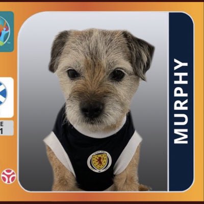 no1border's tweet image. #NewProfilePic