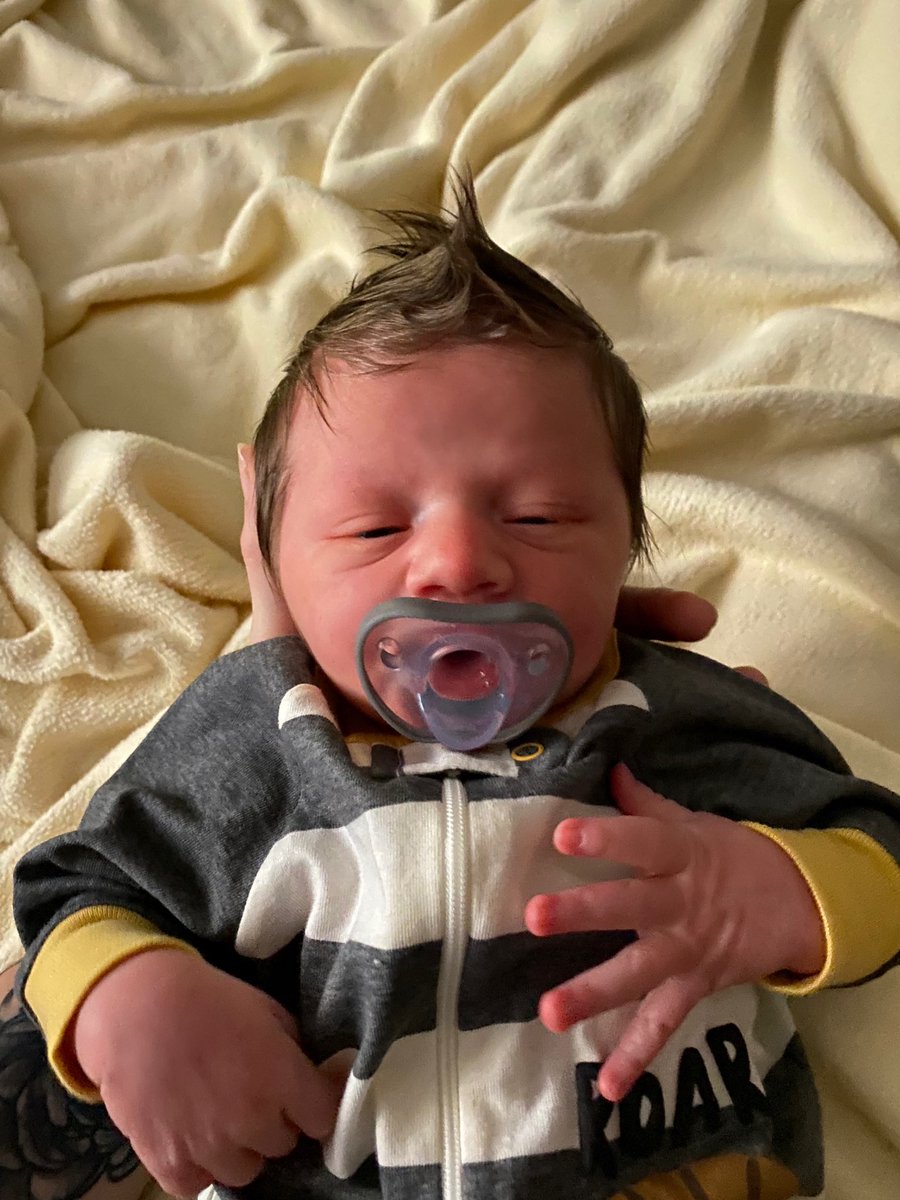 jodessı 🦋 tweet media