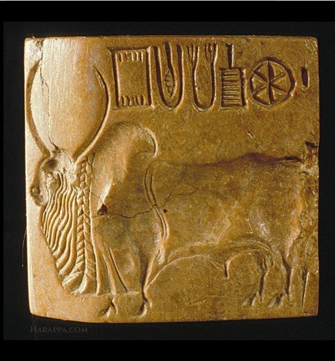 RT @OnlyDharma1: Seal Depicting Majestic Zebu Bull

Harappa https://t.co/bOcS7l5Bxs