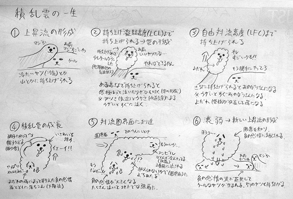 荒木健太郎 ただ目の前にあるものを不思議がったり 面白がったり そういうところから深めていった方がいいんじゃないですか 純粋で 積乱雲の一生をご覧ください おかえりモネ 天気の図鑑 T Co 5aq0ajhuu4 T Co Koemquf0ub