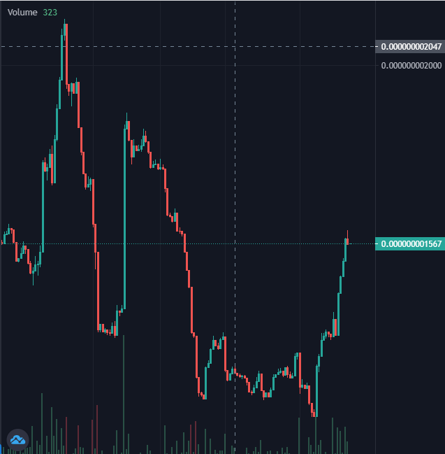 Been looking to pick up a dog $BSC coin at a good discount and I'm liking everything about #Starpup <a href="/StarPupCrypto/">StarPup Crypto</a> 

Not only does it have a nice, active community but they are also on a mission to help build an animal sanctuary. 

What more is there? well..