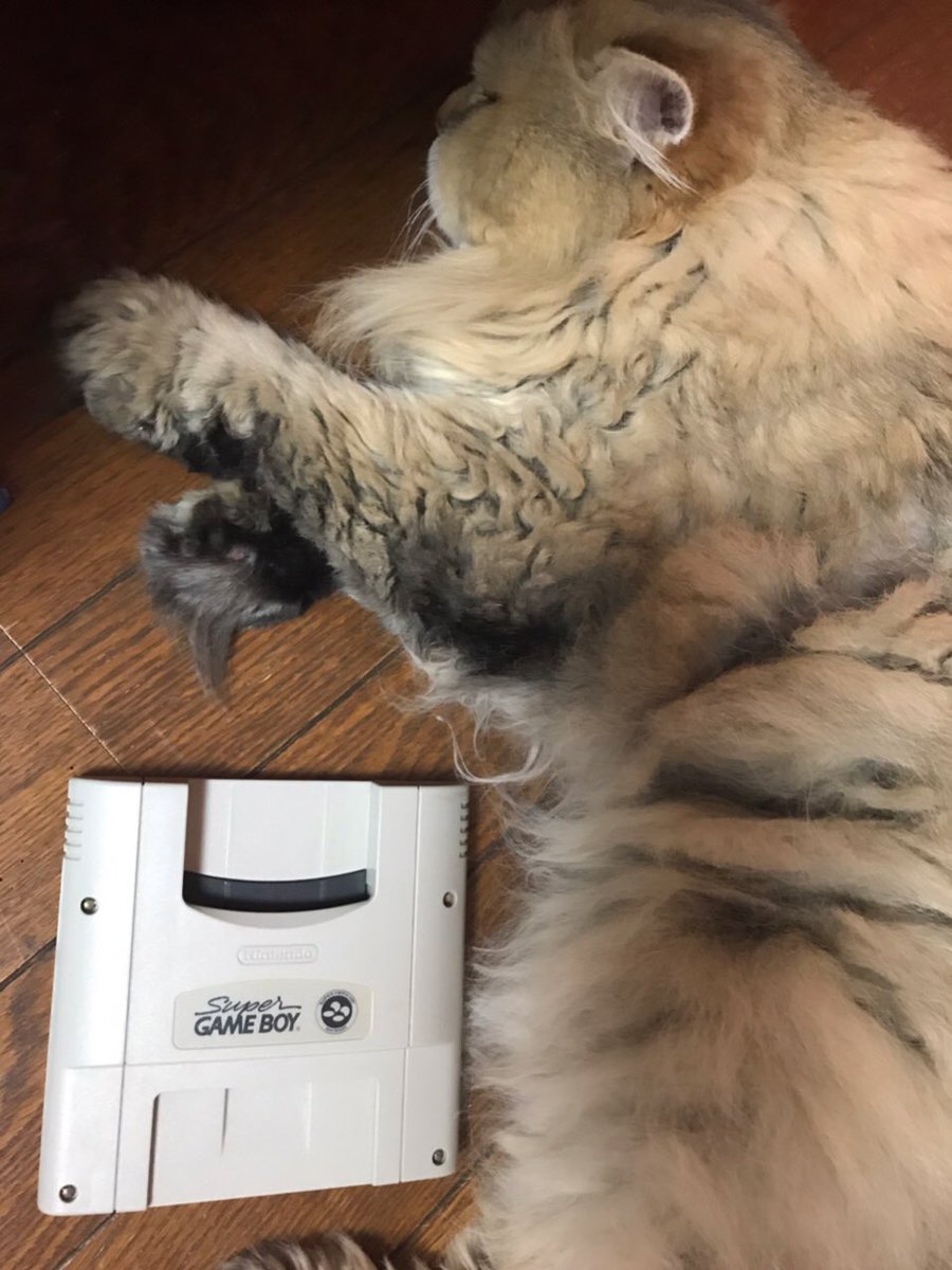 Sekiroのアクションやマップなどゲームシステムまとめ オンライン要素はなし 攻略大百科