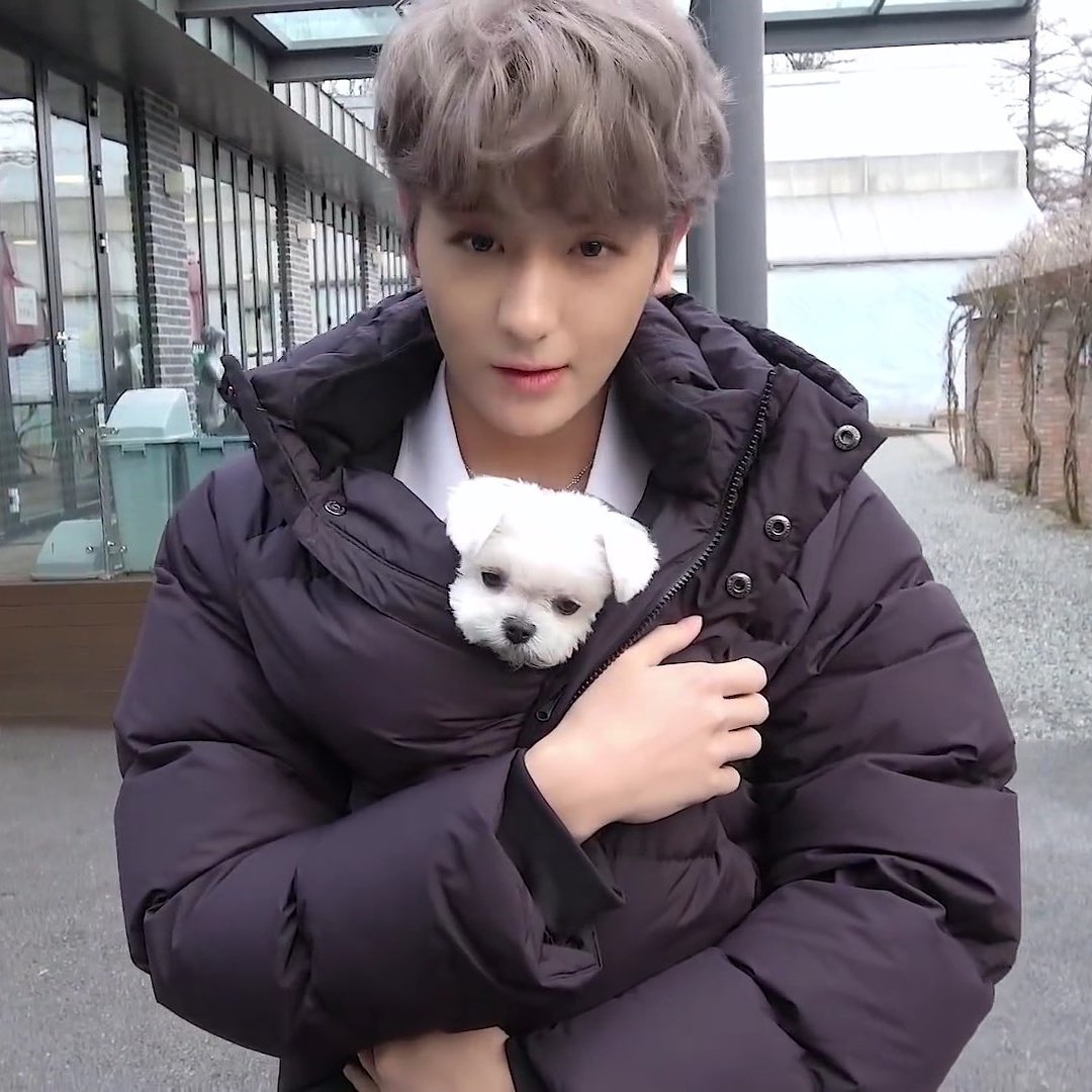 puppies with puppies ! 
#treasure #theboyz
<a href="/treasuremembers/">TREASURE</a> <a href="/WE_THE_BOYZ/">THE BOYZ (더보이즈)</a>