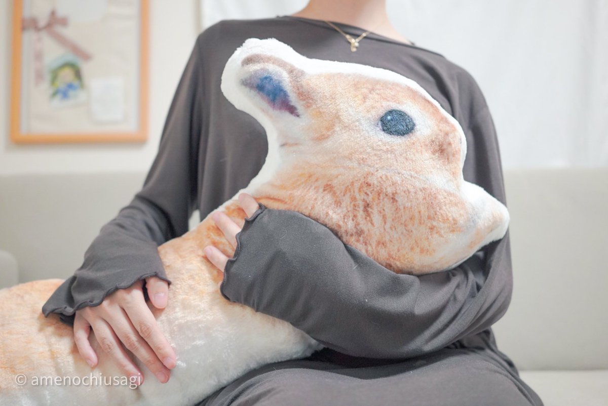 うさぎのあめ 6 29イラストコンテスト開催中 あめのクソデカクッションきたー あめ約2 5匹分の特大サイズ 抱きしめ て寝れない といううさぎさん唯一の弱点もこれで解決 ひざに乗せるだけでいいんだけど という方のためにちゃんと小さい うさぎのあめ 6 29イラストコンテスト開催中 あめのクソデカクッションきたー あめ約2 5匹分の特大サイズ 抱きしめ て寝れない といううさぎさん唯一の弱点もこれで解決 ひざに乗せるだけでいいんだけど という方のためにちゃんと小さい