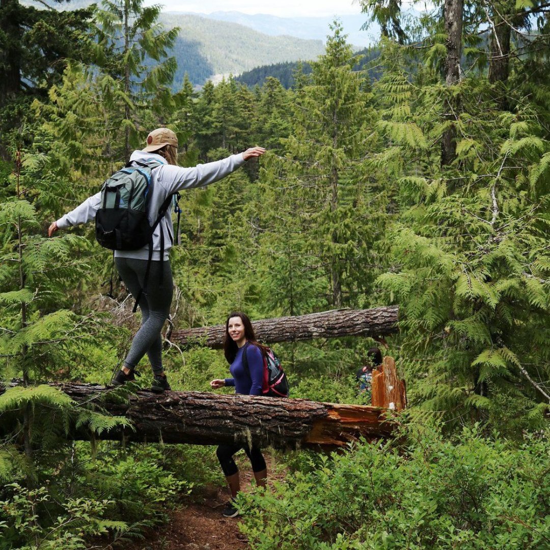 STRAP Tape tweet media