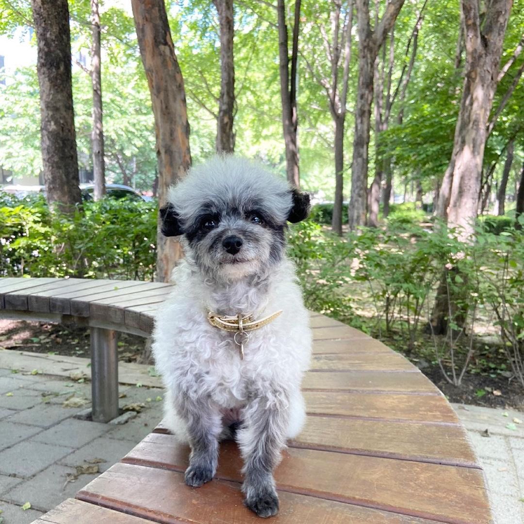 KYRSYJ's tweet image. [INSTAGRAM] dooeyuri: 더워졌어요 🌻 ☀️ 🍉 

#dooe