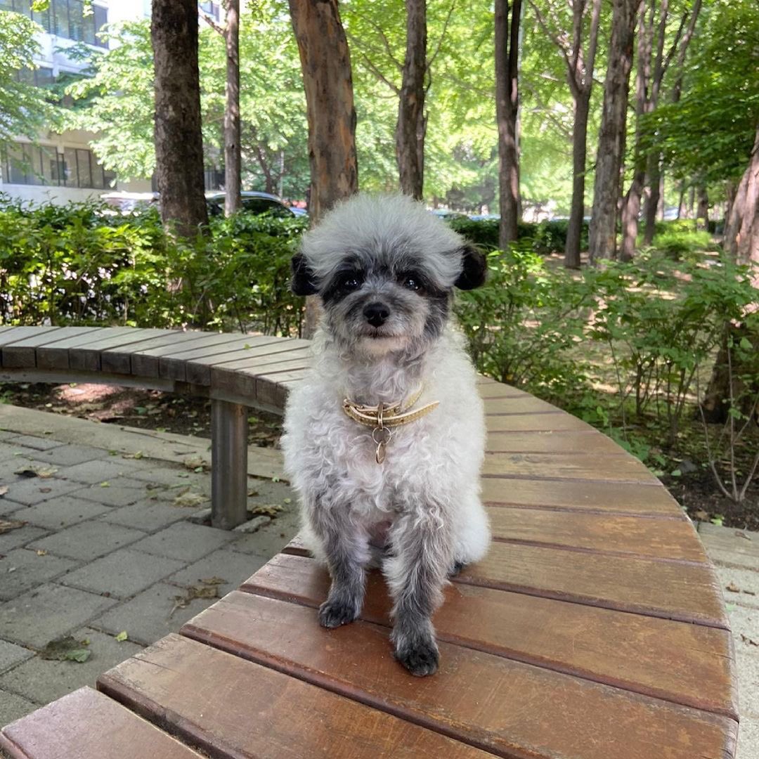 KYRSYJ's tweet image. [INSTAGRAM] dooeyuri: 더워졌어요 🌻 ☀️ 🍉 

#dooe