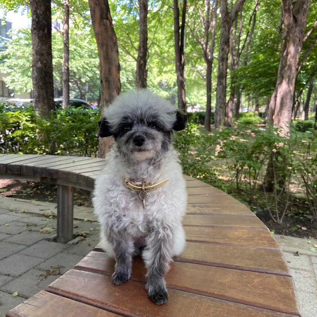 KYRSYJ's tweet image. [INSTAGRAM] dooeyuri: 더워졌어요 🌻 ☀️ 🍉 

#dooe