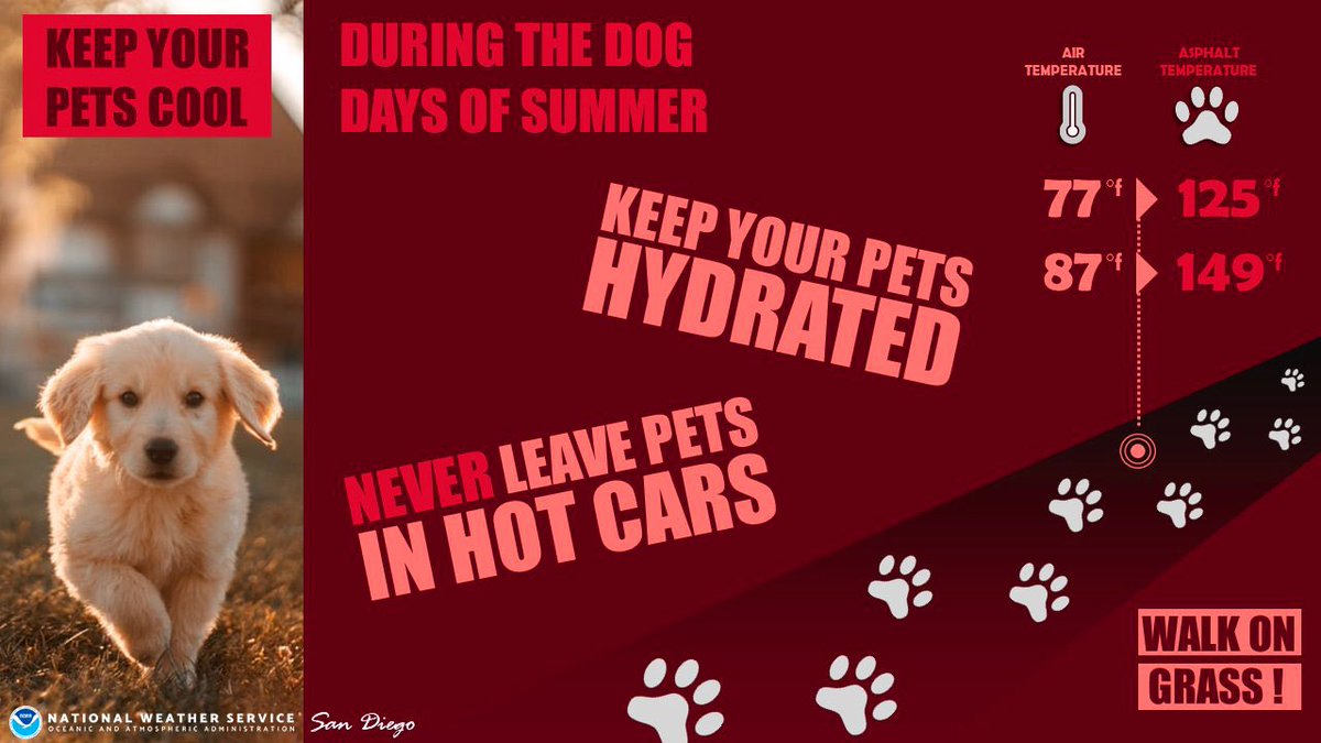 thenewYorkBlvd's tweet photo. Just a heads up neighbors. It’s gonna be Hot this week. Don’t be a dick and walk your dogs in this heat or leave them in your car cause there will be people like me who’ll talk shit to you for being an ass hole or break your car window to take your dog out and save their life. https://t.co/0uYEM0Cs7f